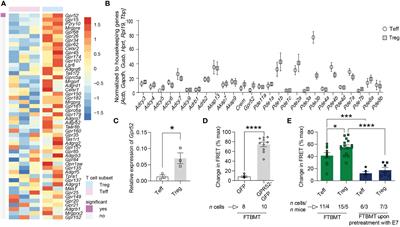 GPR52 regulates cAMP in T cells but is dispensable for encephalitogenic responses